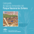 Cartografía de lagunas temporales del Parque Nacional de Doñana