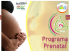 Programa Prenatal de los Centros de Desarrollo Infantil (CENDI)