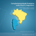 Complementaridade Produtiva entre Brasil e Argentina