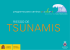 Riesgo de tsunamis