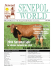 2010 National Sale - Senepol Cattle Breeders Association
