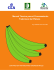 Manual Técnico para el Procesamiento Tradicional del Plátano