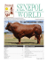 2013 Sire Summary_Web - Senepol Cattle Breeders Association