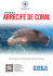 folleto arrecife.pages - zoeacampus cursos online de biologia marina