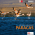Reserva Nacional de Paracas - Servicio Nacional de Áreas