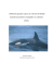 fondo pantalla delfin