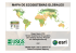 MAPA DE ECOSISTEMAS GLOBALES