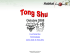 Ir al Tong Shu Terminología Como Usar el Tong Shu