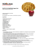 Backup_of_Apple Pie (pie de Manzana)