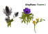 Flowers 2
