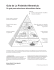 Guía de La Pirámide Alimenticia