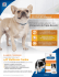 c/d® Multicare Canine