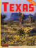 Guía turística Texas