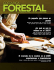 Revista Costa Rica Forestal (Usos y aportes de la madera 2009)