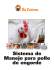 Sistema de Manejo para pollo de engorde