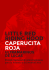 LITTLE RED RIDING HOOD CAPERUCITA ROJA