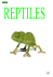 2 reptiles - Surtropic