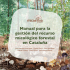 Manual para la gestión del recurso micológico forestal en Cataluña