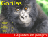 Gorilas en peligro