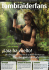 ¡Lara ha vuelto! - Tomb Raider Fans