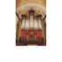 Organo catedral - Museo de la Catedral de Arequipa