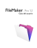 FileMaker Pro User`s Guide