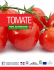 Perfil de Exportación hacia Francia y Antillas – Tomate