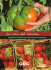informe `La Ruta del Tomate` - Pàgina d`inici