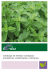 Catálogo de hierbas ecológicas aromáticas, medicinales y culinarias