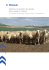 Sistema de gestión de granja para ovejas y cabras