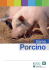 Porcino - Karizoo