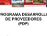 PROGRAMA DESARROLLO DE PROVEEDORES (PDP)